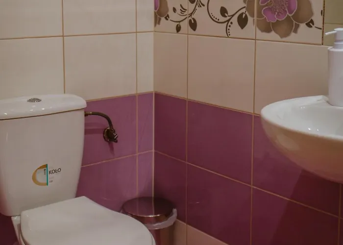 Olczanski Zakatek 住宿加早餐酒店 扎科帕内